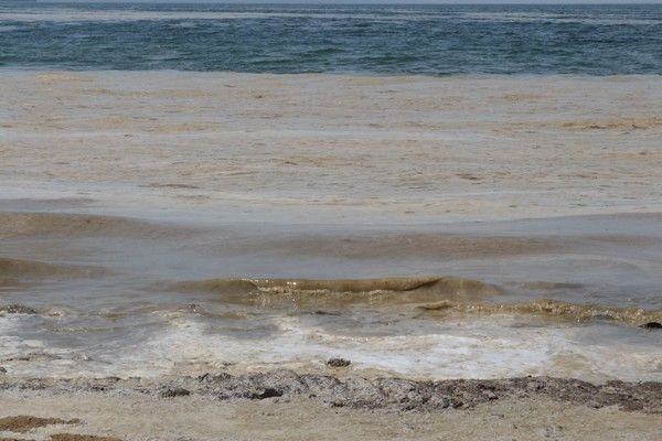 Balıkesir'de denizin dibi zindana döndü korkutucu hale geldi! Zamanımız kalmadı - Resim: 4