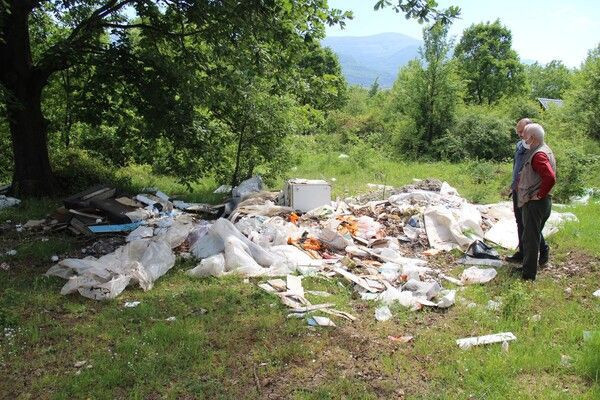 Kocaeli'de ormanda gezintiye çıkmıştı! Gördükleri karşısında şok oldu - Resim: 2