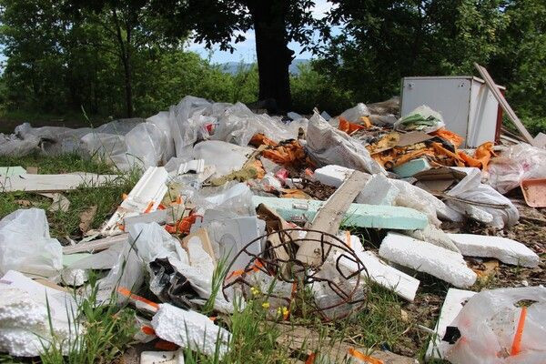 Kocaeli'de ormanda gezintiye çıkmıştı! Gördükleri karşısında şok oldu - Resim: 3