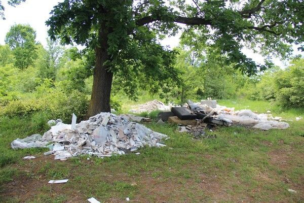 Kocaeli'de ormanda gezintiye çıkmıştı! Gördükleri karşısında şok oldu - Resim: 4