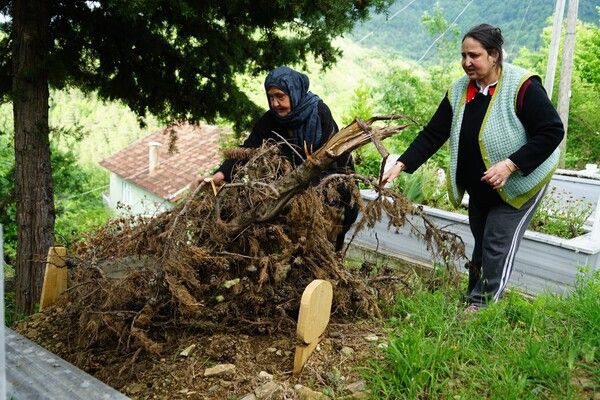 Cesetleri yiyor! Kastamonu'da ortaya çıktı kokuyu duyup mezara gidenler inanamadı - Resim: 2