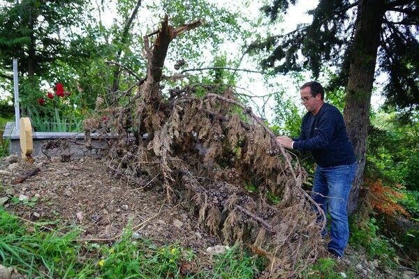 Cesetleri yiyor! Kastamonu'da ortaya çıktı kokuyu duyup mezara gidenler inanamadı - Resim: 3