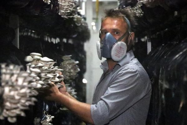 Edirne'de iktisat mezunu iş ararken bu işe başladı güzel para var - Resim: 1