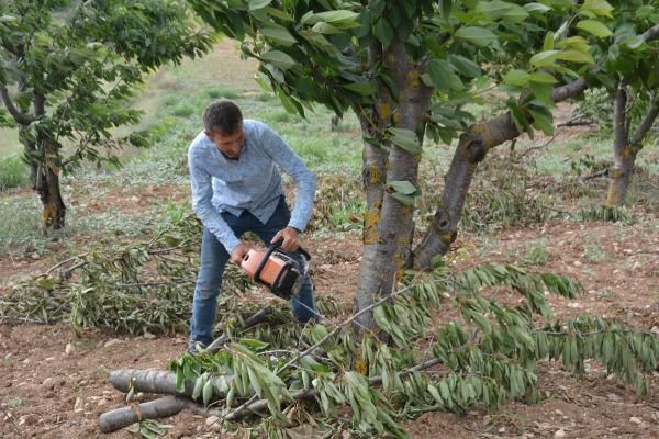 Bahçede 2 lira tezgahta 15 lira! İsyan edip bin 500 ağacını kesti - Resim: 2