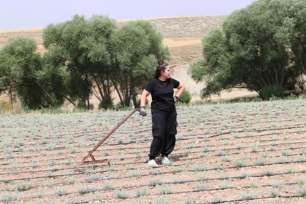 Bankacılığı bıraktı Ankara'da bu işe başladı! Tanesini 1 TL'ye satıyor - Resim: 3