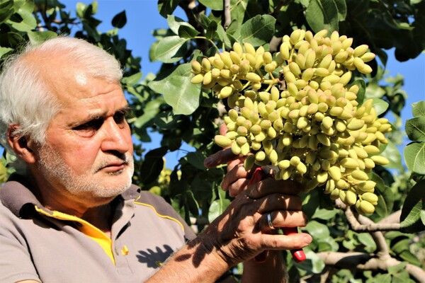 Elazığ'da bir ilk! 'Yetişmez' denildi hobi olarak başladı: Şimdi ABD'den sipariş yağıyor - Resim: 1