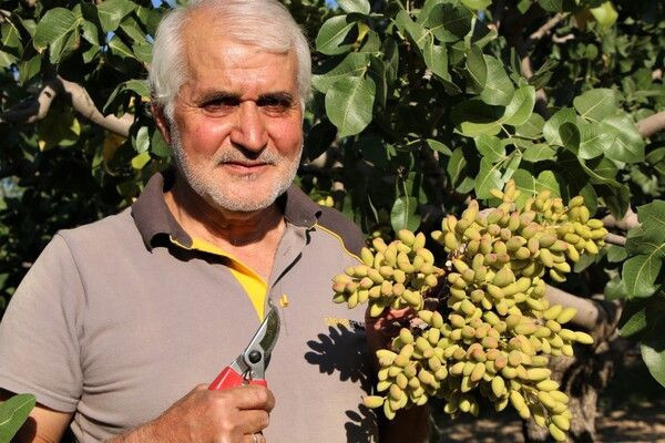 Elazığ'da bir ilk! 'Yetişmez' denildi hobi olarak başladı: Şimdi ABD'den sipariş yağıyor - Resim: 2