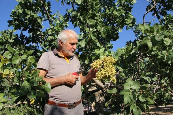 Elazığ'da bir ilk! 'Yetişmez' denildi hobi olarak başladı: Şimdi ABD'den sipariş yağıyor - Resim: 4