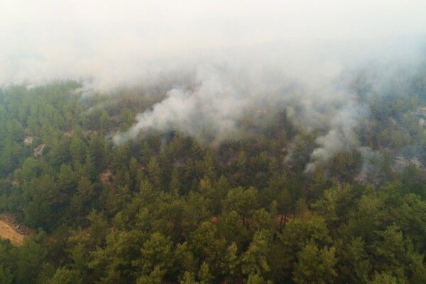 Muğla Kavaklıdere yangını kontrol altına alınamadı! Havadan görüntülendi - Resim: 3