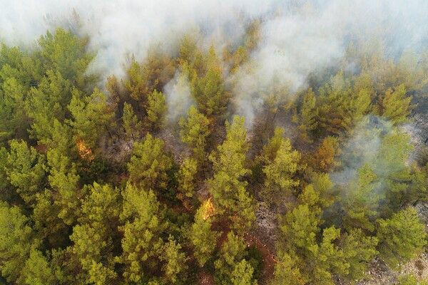 Muğla Kavaklıdere yangını kontrol altına alınamadı! Havadan görüntülendi - Resim: 4