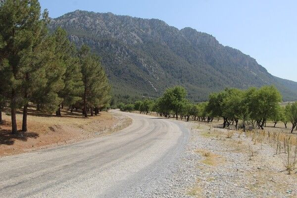 Denizli'de bu ormanda 30 yıldır yangın çıkmadı! Sebebi bakın ne? Türkiye’ye örnek olsun - Resim: 4