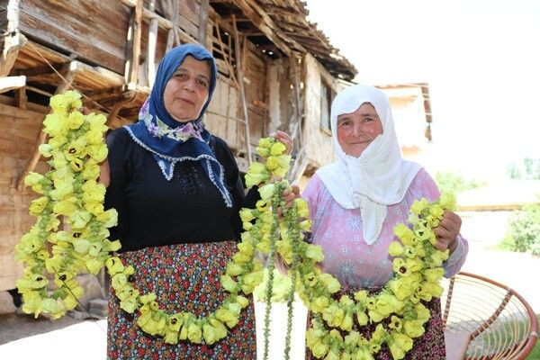 Amasya'da kilosu 200 TL'ye satılıyor! Tek tek ipe diziliyor çorba olarak tüketiliyor - Resim: 3