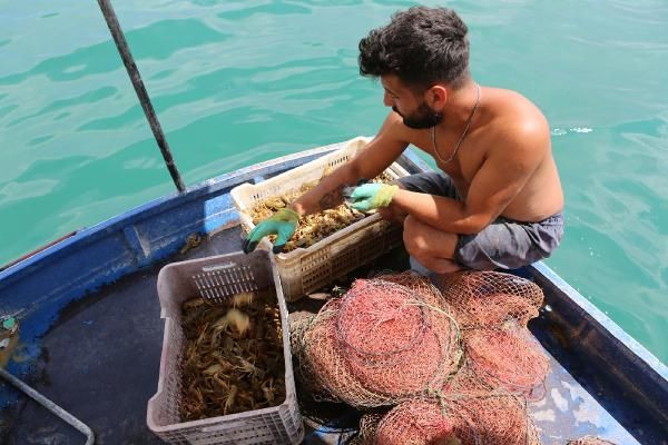 Salgını Tunceli'de fırsata çevirdi ayda 100 bin TL kazanıyor! Avrupa'dan sipariş yağıyor - Resim: 2