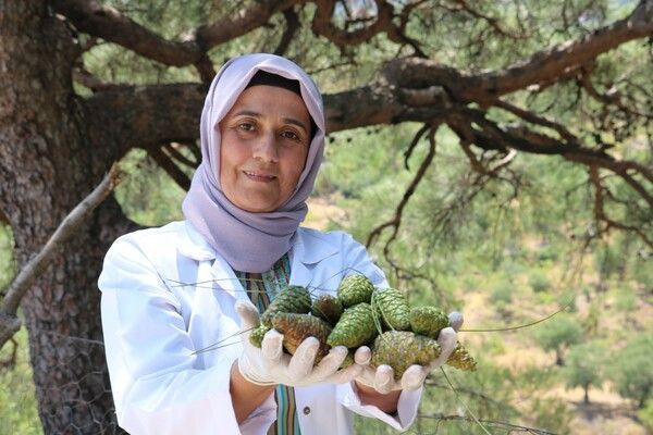 Yaşlı kadından duyup Kastamonu'da bu işe başladı! Siparişlere yetişemiyor - Resim: 2