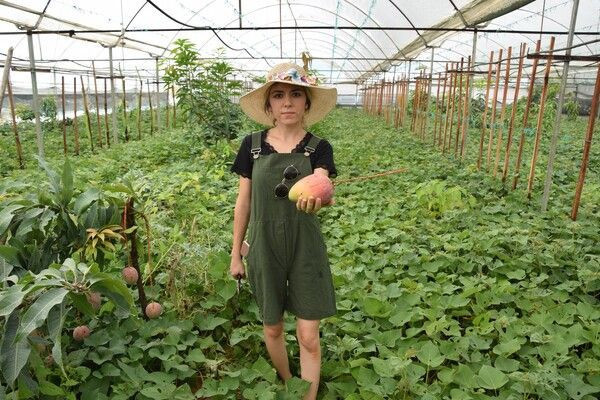 Kilosu 40 TL! Antalya'da maliye mezunu bu işe başladı: Masrafı yok getirisi yüksek - Resim: 1