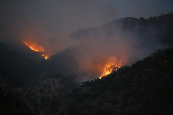Munzur Vadisi Milli Park’taki yangın sürüyor! Mehmetçik de bölgede - Resim: 1