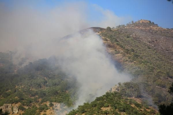 Munzur Vadisi Milli Park’taki yangın sürüyor! Mehmetçik de bölgede - Resim: 3