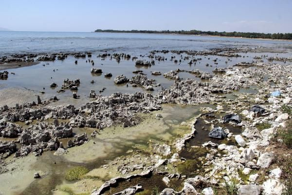 Van'da korkutan görüntü! 80 yıldır böylesi görülmedi: İlk geldiğimde... - Resim: 4