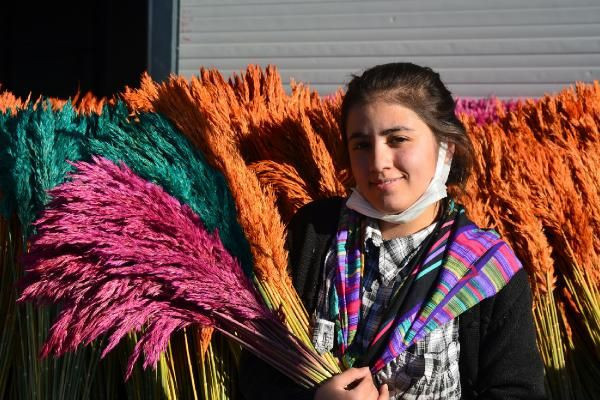 Aksaray'da deneme amaçlı başladı paraya para demiyor! ABD İngiltere Fransa sıraya girdi - Resim: 3