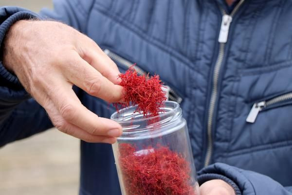 Edirne'de bir ilk! Mucize bitkinin gramı 50 TL: Taleplere yetişemiyorlar - Resim: 2