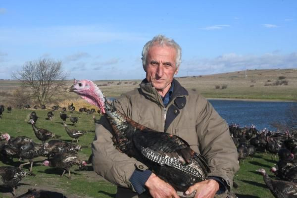 Yılbaşı hindileri satışa çıktı! Tanesi 300 liradan satılıyor - Resim: 3