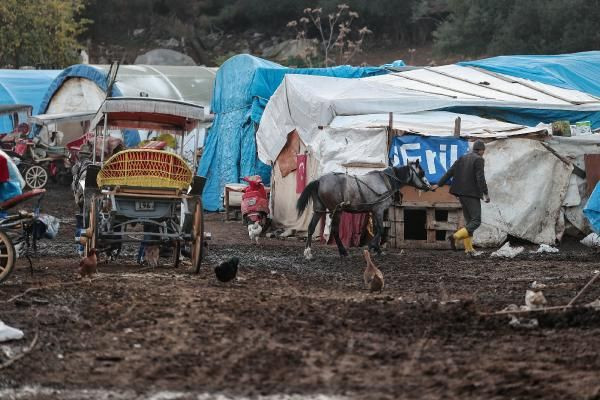 Adalar'da atların yaşadığı yer rezalet! Ruam hastalığı insana bakın nasıl bulaşıyor - Resim: 5