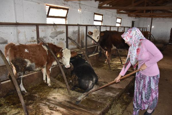 Devletten destek aldı! Şimdi çiftliği var - Resim: 1