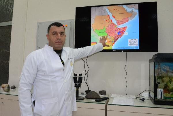 Prof. Dr. Ali Satar: Önlem alınmazsa yumurtadaki çekirgeler 2021'de istilaya neden olur - Resim: 0