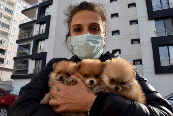Edirne'ye yasa dışı yollarla getirildi! Uyuşturulmuş halde bulundu - Resim: 1