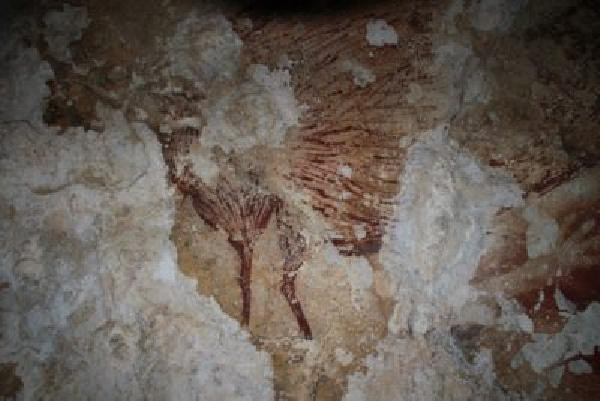 45 bin 500 yıl önce çizilmişti! Uzmanlar kötü haberi verdi - Resim: 0