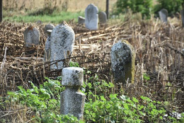 Edirne'de pes dedirten görüntü! 'Büyük bir günah işliyoruz' deyip anlattı - Resim: 0