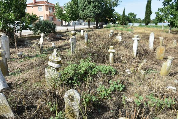 Edirne'de pes dedirten görüntü! 'Büyük bir günah işliyoruz' deyip anlattı - Resim: 1