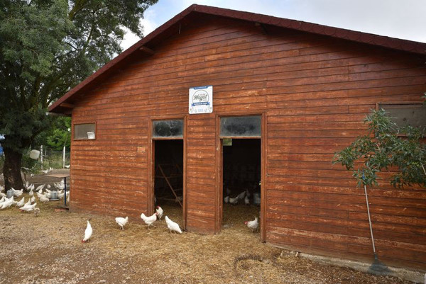 Bursa'da çaresizlik üretimle umuda dönüşüyor - Resim: 1