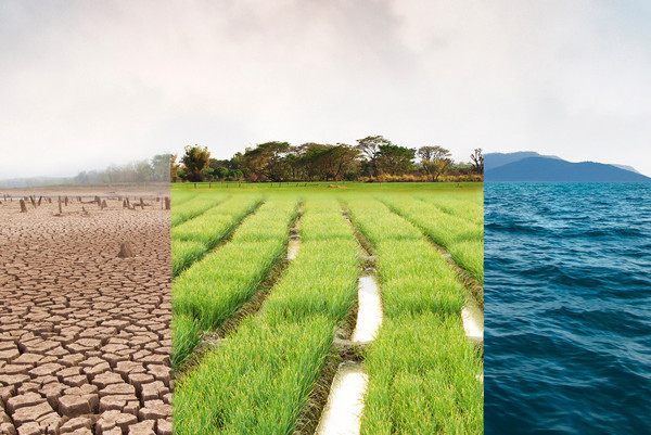 AB Komisyonu yasa paketini sundu! İşte iklim kriziyle kapsamlı mücadele paketi - Resim: 5
