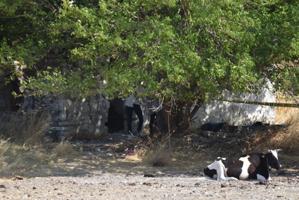 İzmir'de boş arazide ceset bulundu! Şüphe ekiplere harekete geçirdi - Resim: 0