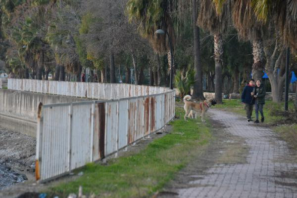 Adana'da her gece 3'er kişi sopalarla nöbet tutuyor! 'Yazıktır, günahtır' deyip mahalleli isyan etti - Resim: 0