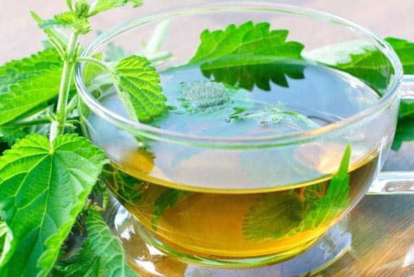 Balla karıştırılan ısırgan otu bomba etkisi yapıyor! - Resim: 4