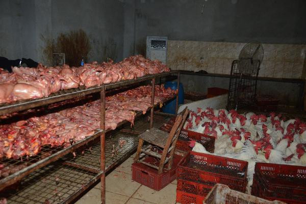 Mideniz kaldırmayabilir! Soframıza gelecekti polis bastı - Resim: 4