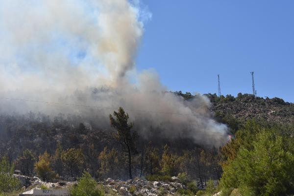 Cehennem sıcakları geldi Türkiye'nin kabusu başladı - Resim: 3