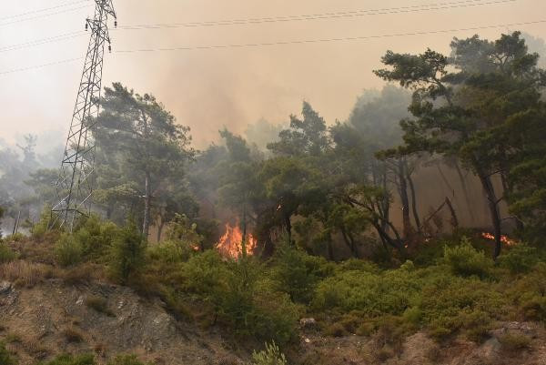 Cehennem sıcakları geldi Türkiye'nin kabusu başladı - Resim: 4
