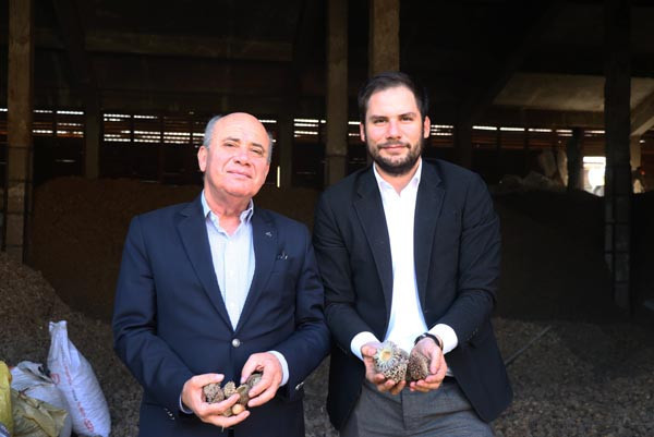 Meşe palamuduna yoğun talep var - Resim: 3