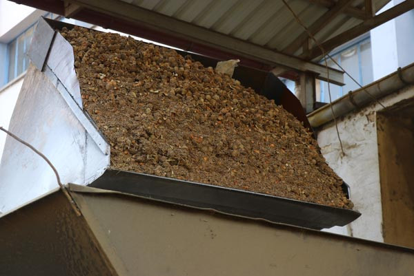 Meşe palamuduna yoğun talep var - Resim: 4