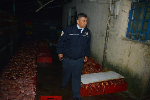 Mide bulandıran görüntü! Kaçak tavuk kesimhanesine baskın - Resim: 4