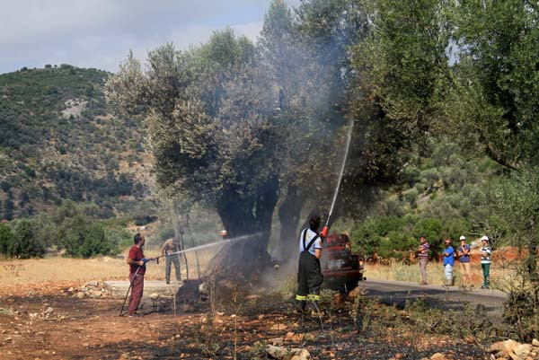 Muğla'da 4 hektarlık orman alev alev yandı - Resim: 1