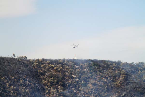 Muğla'da 4 hektarlık orman alev alev yandı - Resim: 2