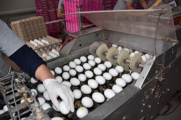 En ucuz protein kaynağı! Bir tas çorba parasına 4 kişilik aile doyar - Resim: 2