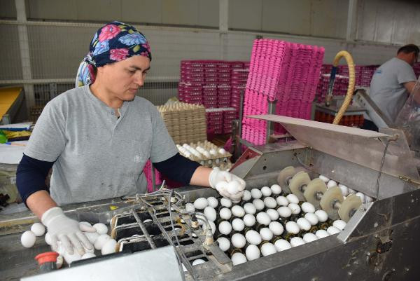 En ucuz protein kaynağı! Bir tas çorba parasına 4 kişilik aile doyar - Resim: 3