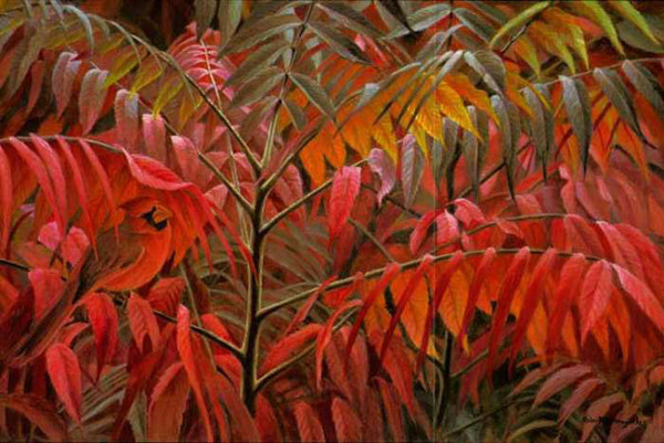 Şeker hastalığına son - Resim: 3