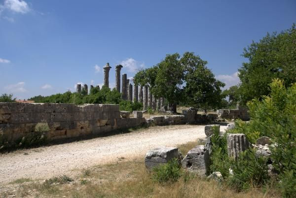 Diocaesarea Antik Kenti'nin dini merkezi Zeus'a adanan tapınak gün yüzüne çıkarılıyor! - Resim: 3