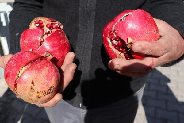 Kayseri'de acı olay! 4 yaşındaki çocuk yediği nardan fenalaştı yaşamını kaybetti - Resim: 4